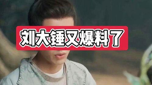 刘大锤最新爆料麦玲,麦玲惊人内幕曝光，真相令人震惊！